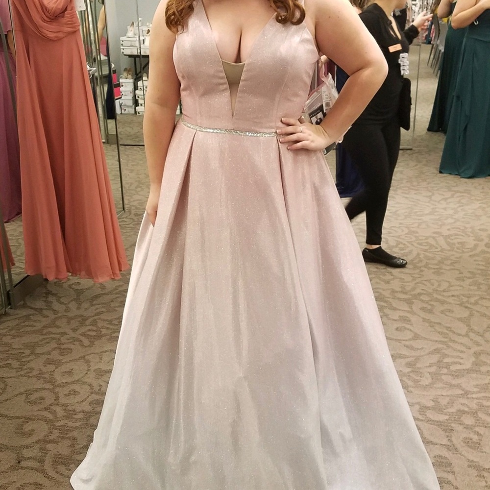 David’s Bridal Glitter Plus Size Gown